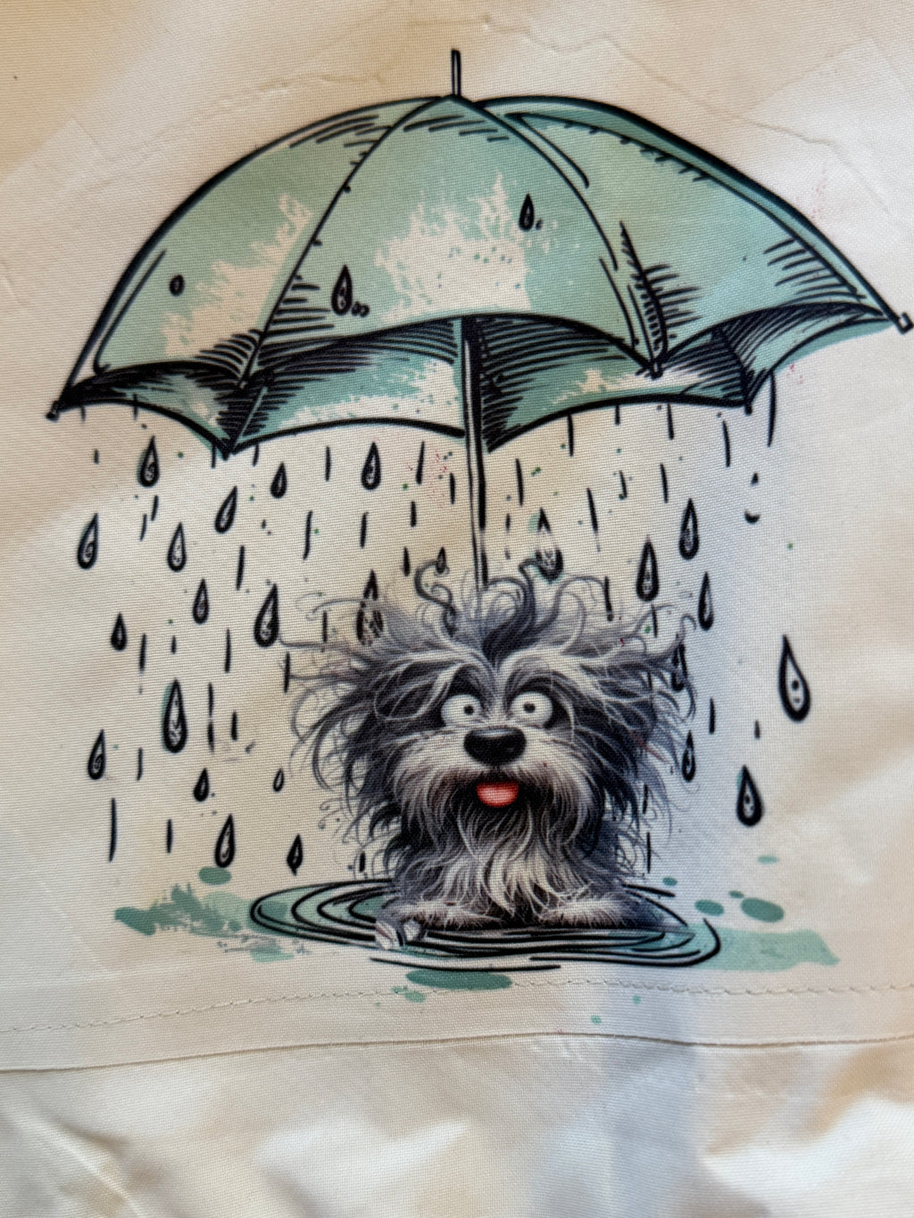 Rainy Days w Fido